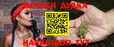 мдпв Будённовск